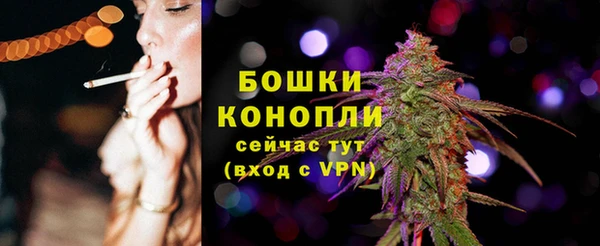 ECSTASY Кукмор