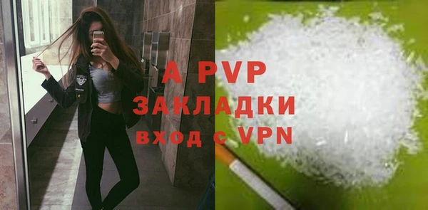 ECSTASY Кукмор