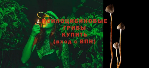 стаф Лабытнанги