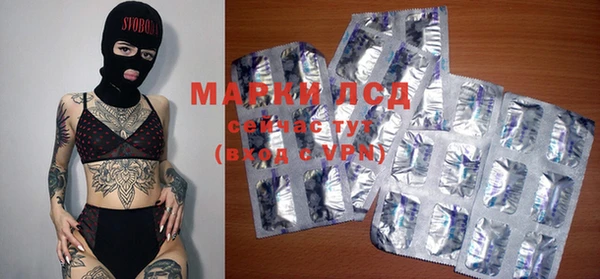 ECSTASY Кукмор