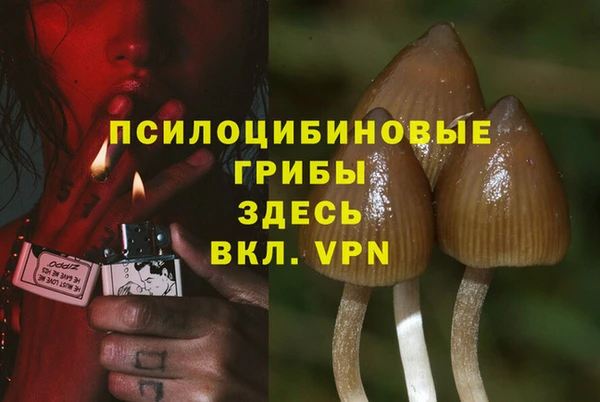 твердый Куйбышев
