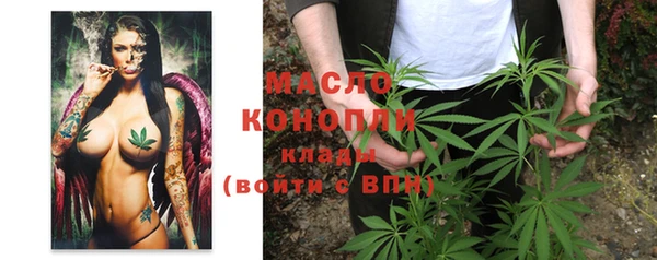 твердый Ладушкин