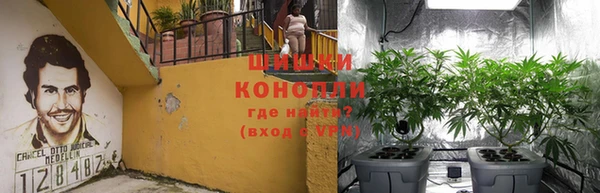 крисы Лагань