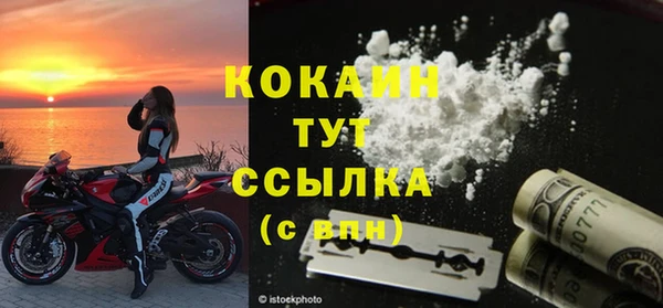 твердый Ладушкин