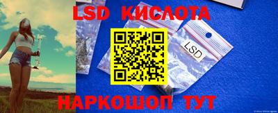 спиды Кингисепп