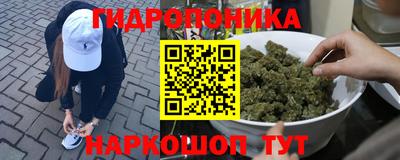 спиды Кингисепп