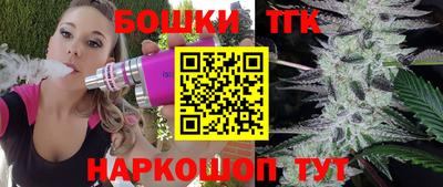 спиды Кингисепп