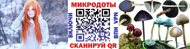 Псилоцибиновые грибы Cubensis  Урай 