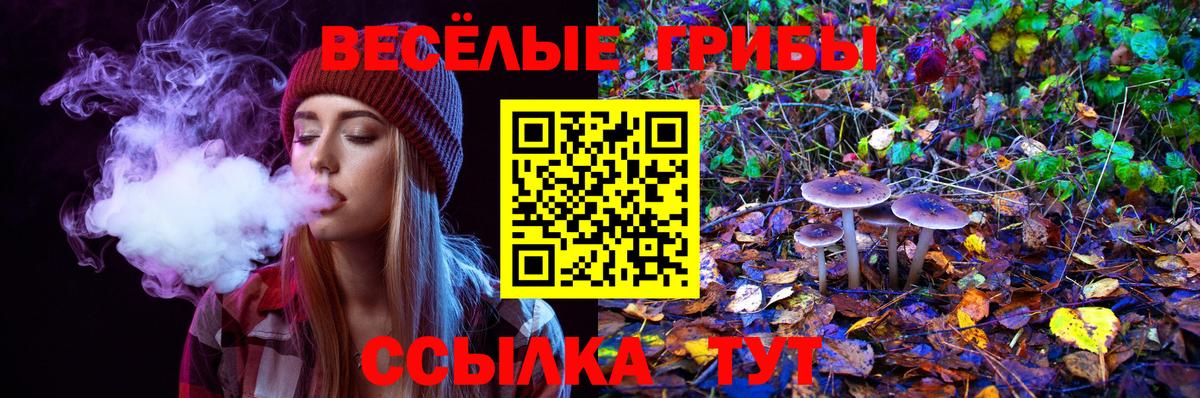 Урай  Галлюциногенные грибы GOLDEN TEACHER  Вход с VPN 