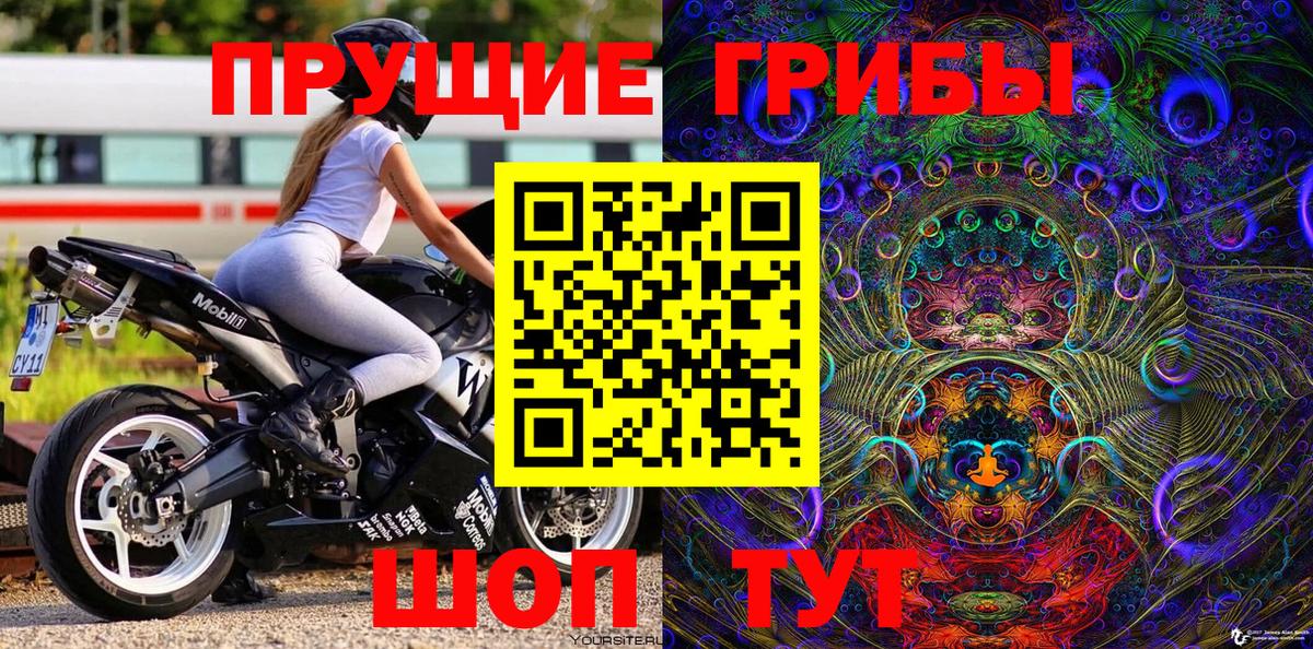 Галлюциногенные грибы прущие грибы Урай